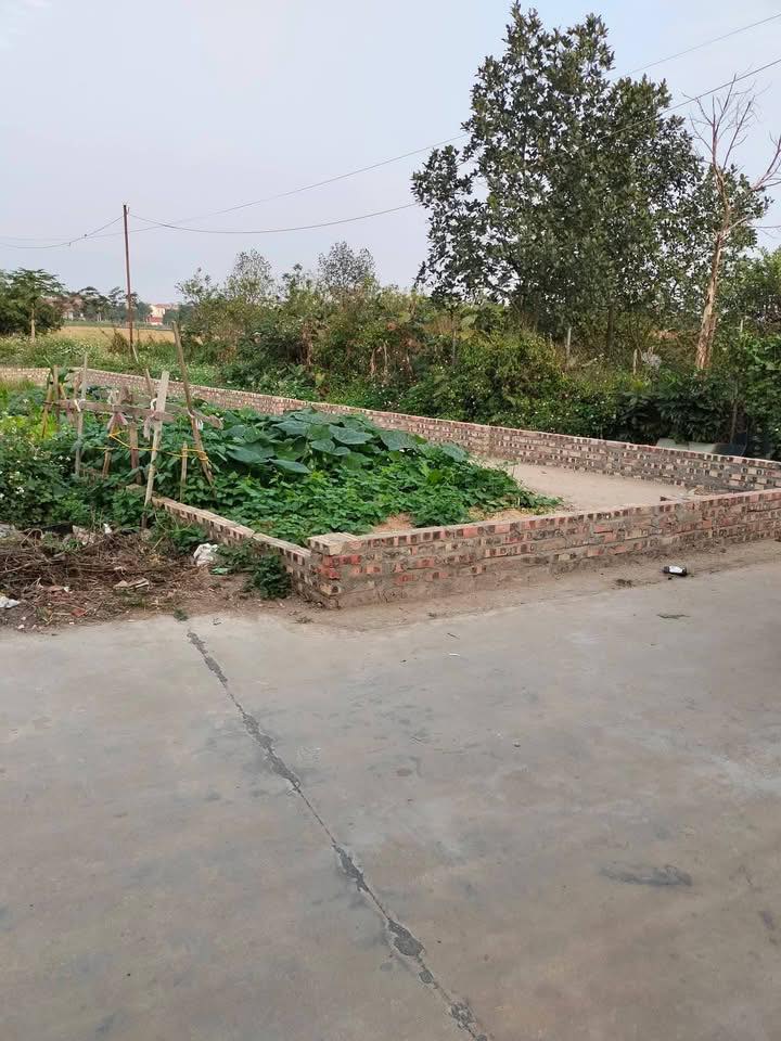 Đất lô góc 85m² tại Hà Mãn, Thuận Thành, Bắc Ninh - Giá tốt chỉ 3 tỷ!