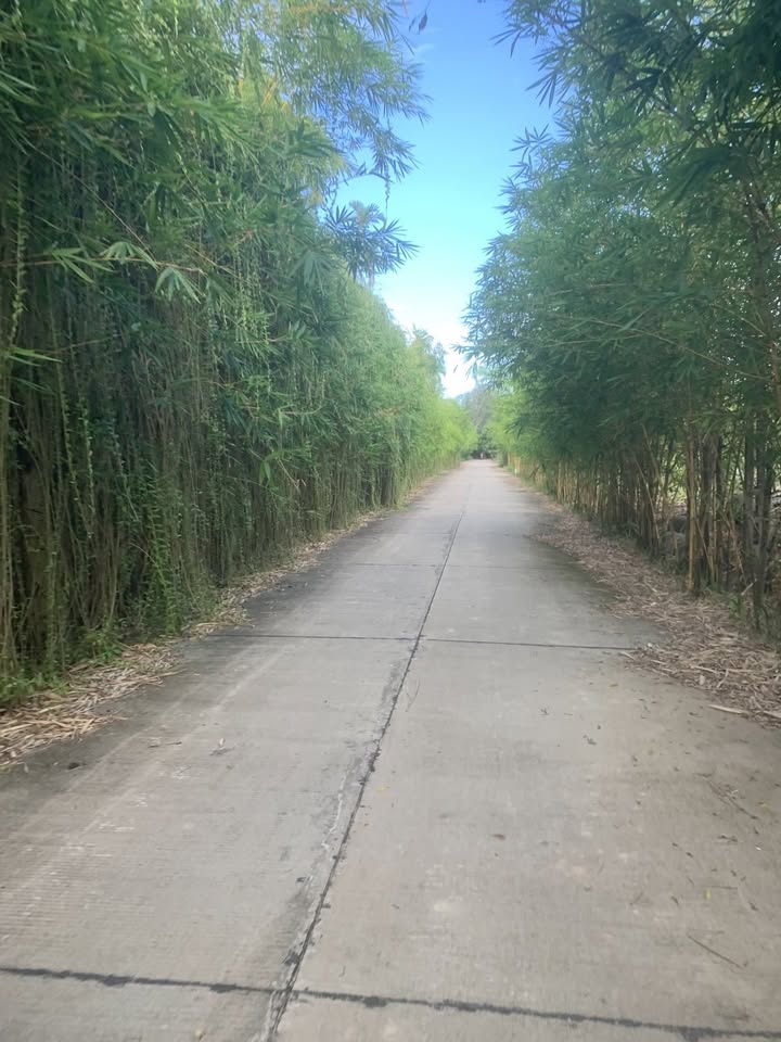 Lô đất đẹp Điện Dương 200m² giá 2 tỷ - Cơ hội đầu tư tuyệt vời!