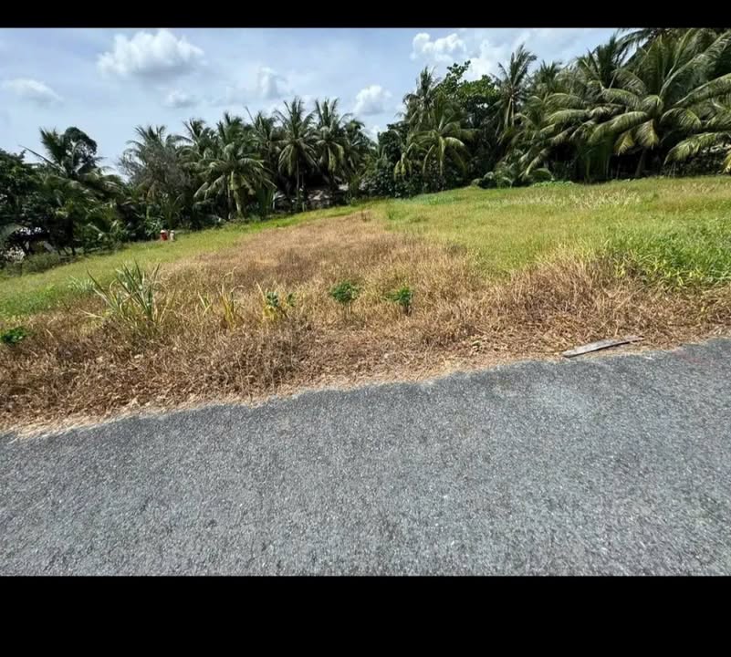 Đất nền đường nhựa 5 tấn tại Trà Vinh 107m² giá thỏa thuận - View sông thoáng mát