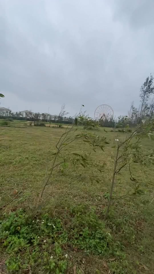 Đất thổ cư Thịnh Lộc, Thạch Hà, 247m² chỉ 1,8 tỷ - Vị trí hiếm có!