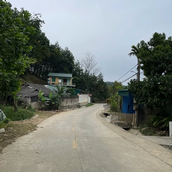 Đất thổ cư 83m² tại Thiền Viện Trúc Lâm - Giá chỉ 800 triệu, có thương lượng!