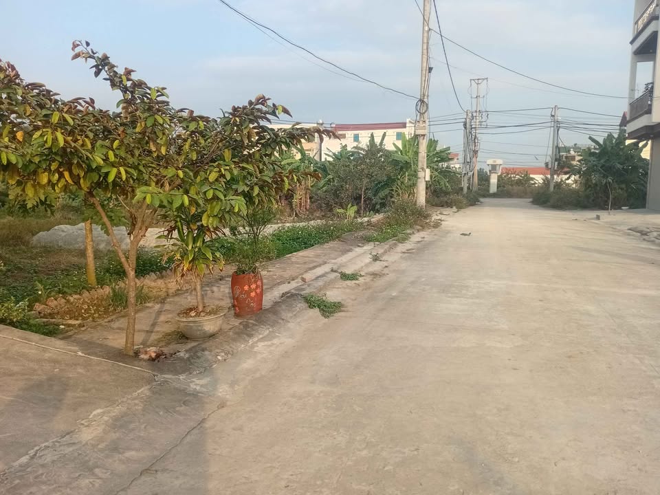 Đất nền khu phân lô Đồng Nuốn, Yên Mô, Ninh Bình 100m² giá 1.2 tỷ - Đầu tư sinh lời ngay!