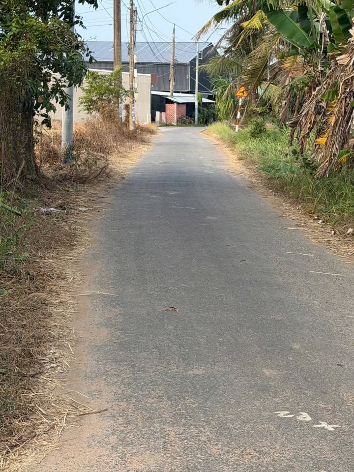 Đất nền 150m² mặt tiền đường nhựa Thị Trấn Đất Đỏ - Giá chỉ 980 triệu