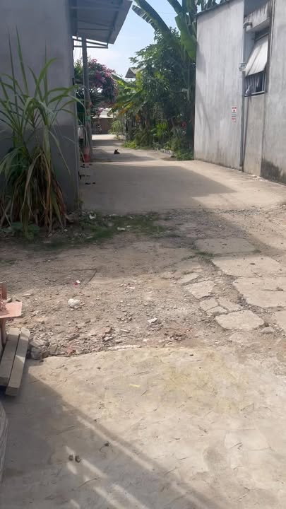 Nhà cấp 4 Ấp 3, Xã Phước An, 112.5m² - Giá chỉ 1 tỷ, sổ riêng