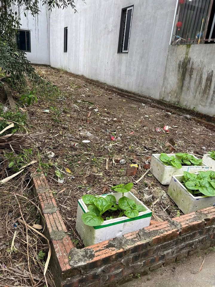 Đất thổ cư 80m² tại Vân Nội, Đông Anh - Giá chỉ 5 tỷ - Cơ hội hiếm có!