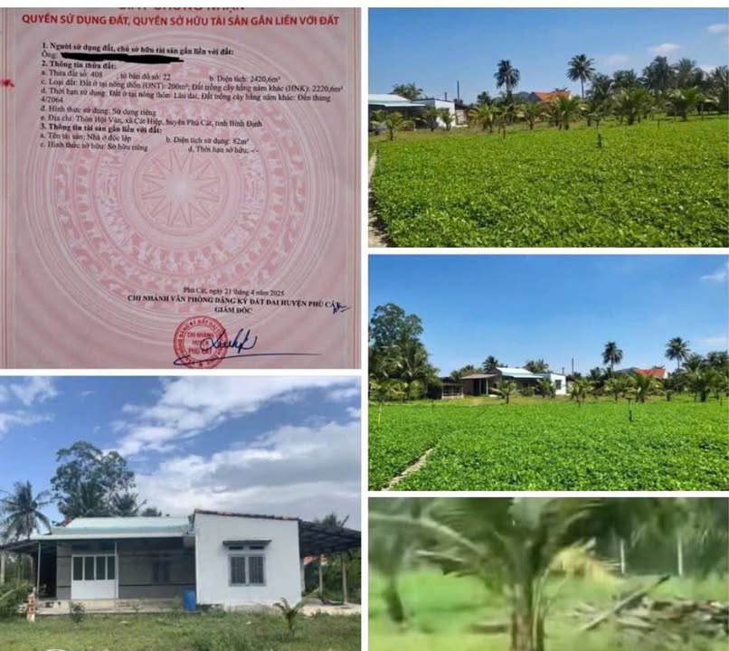 Nhà vườn 2500m² tại Cát Hiệp giá 1 tỷ - Không thể bỏ lỡ!