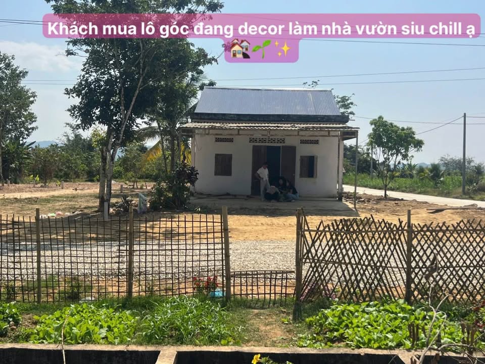 Đất ODT Thị Trấn Đạ Tẻh 234m² giá chỉ 279 triệu - Cơ hội đầu tư sinh lời!