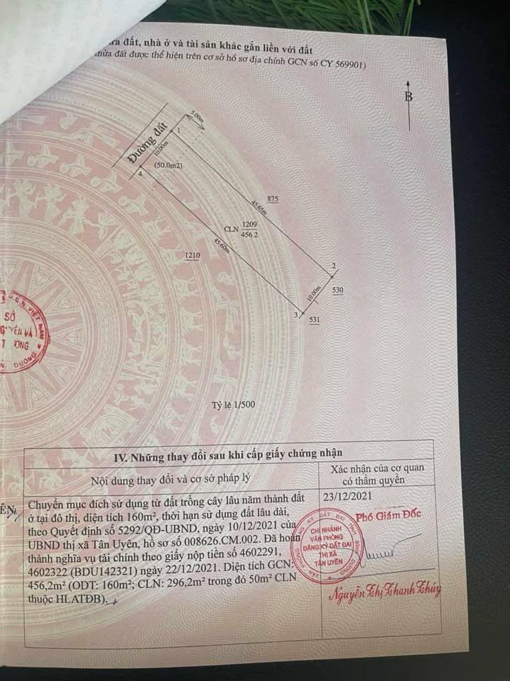 Đất thổ cư Phường Hội Nghĩa, 450m² giá 4 tỷ - Cơ hội đầu tư tuyệt vời!