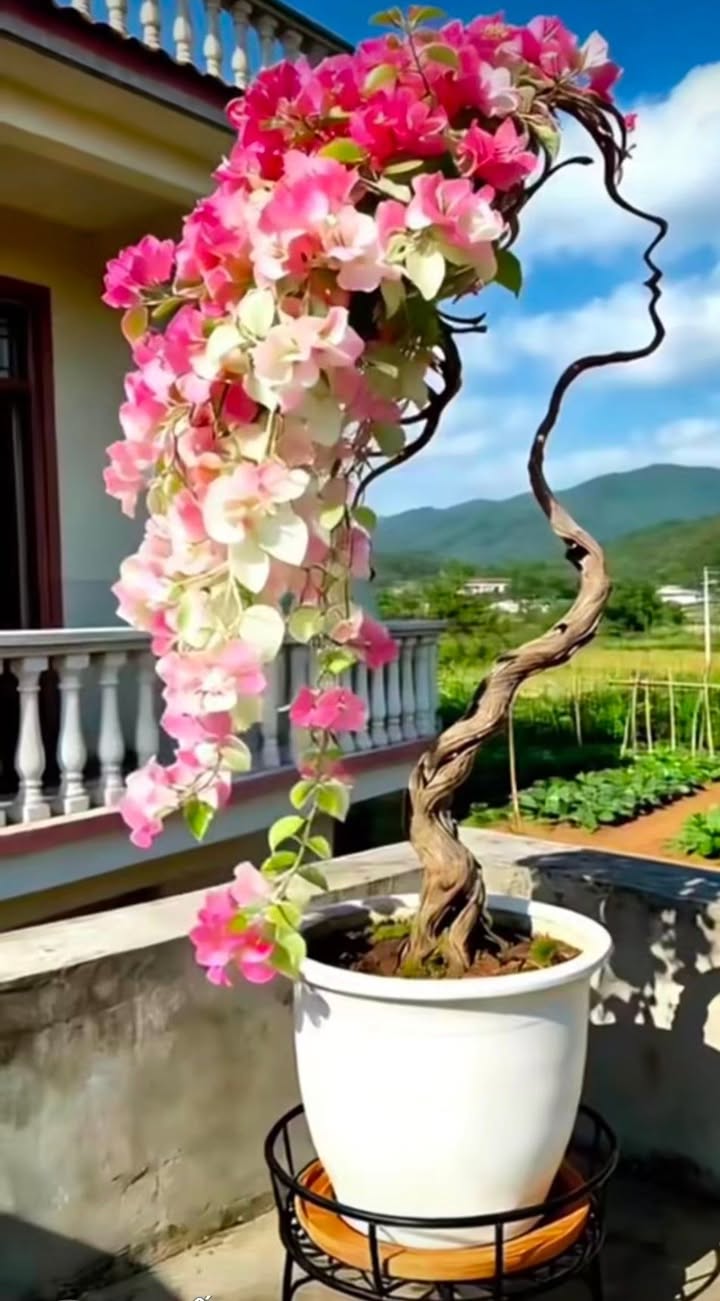 Đất thổ cư Xã Bình Mỹ 100m² giá 1 tỷ - Sổ hồng riêng chính chủ!