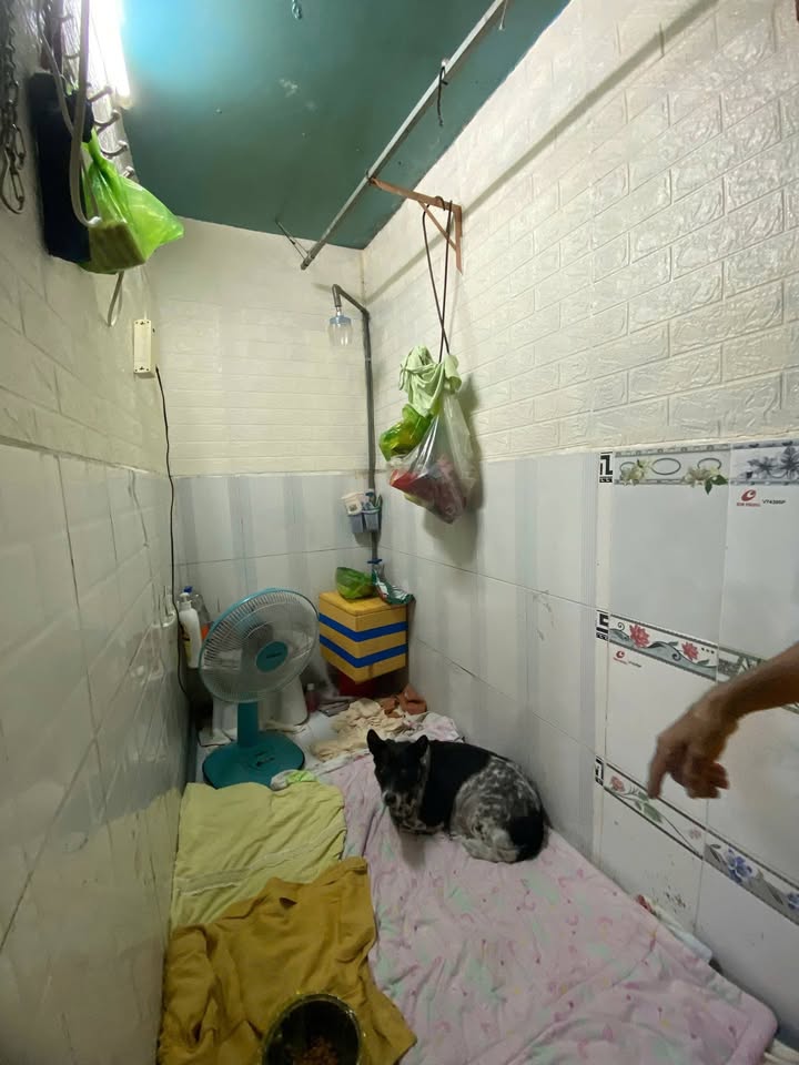 Nhà FrontHouse Độc Lạ Đường HTP, Quận 7 - Giá Chỉ 250 Triệu