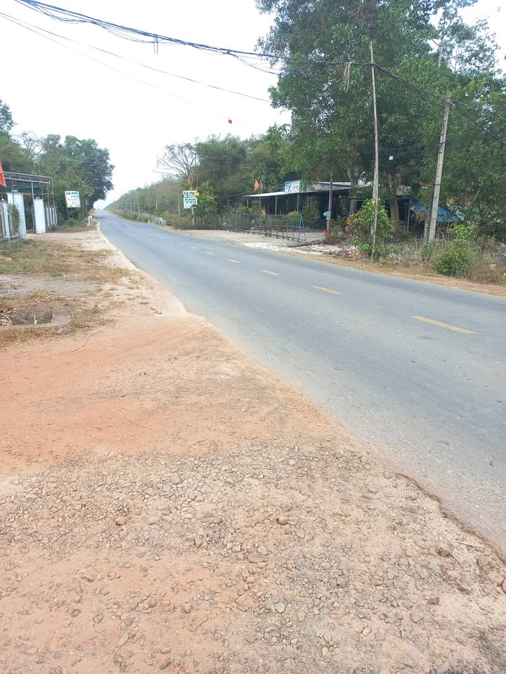 Đất nông nghiệp 10.000m² tại Long Hòa, Dầu Tiếng - Giá chỉ 3 tỷ, cơ hội đầu tư hấp dẫn!