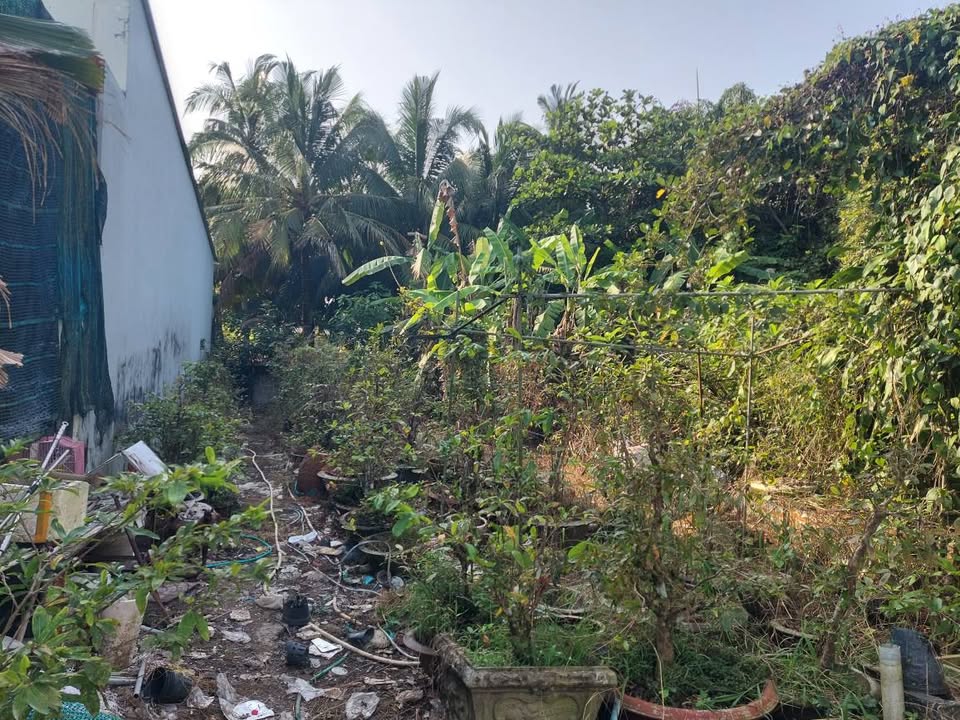 Đất nền chính chủ Vĩnh Long 100m² giá 800 triệu - Đường ô tô vào tận nơi!