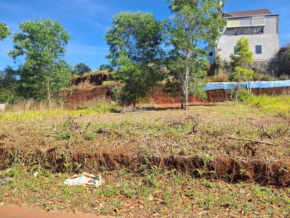 Đất nền Bảo Lộc 305m² giá 2.35 tỷ - Đầu tư sinh lời hấp dẫn!