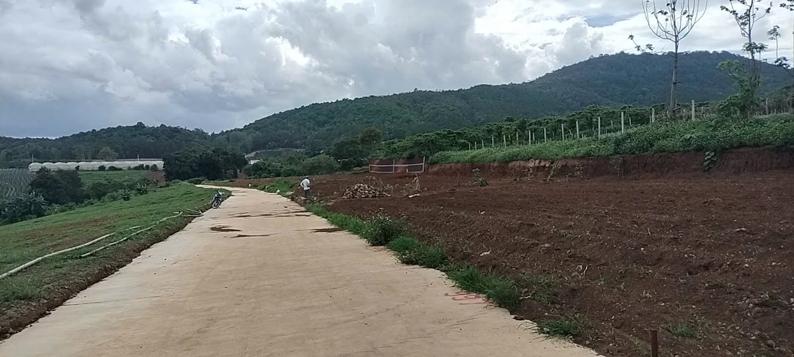 Đất nền Hiệp Thạnh, Lâm Đồng 90m² giá chỉ 790 triệu - Tiềm năng đầu tư lớn!