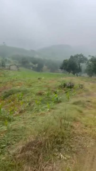 Đất nông nghiệp 24ha tại Lạc Thủy, Hòa Bình giá 18 tỷ - Cơ hội đầu tư hấp dẫn!