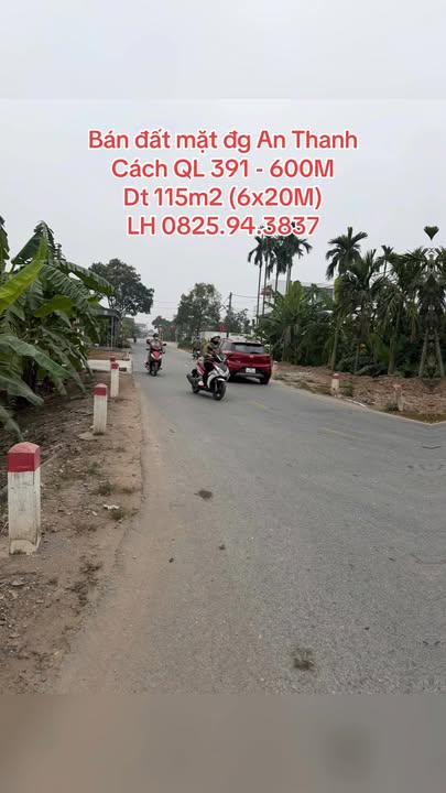 Đất Lô Góc 2 Mặt Tiền Tại An Thanh, Tứ Kỳ 115m² Giá 2,39 Tỷ - Kinh Doanh Đỉnh Cao!