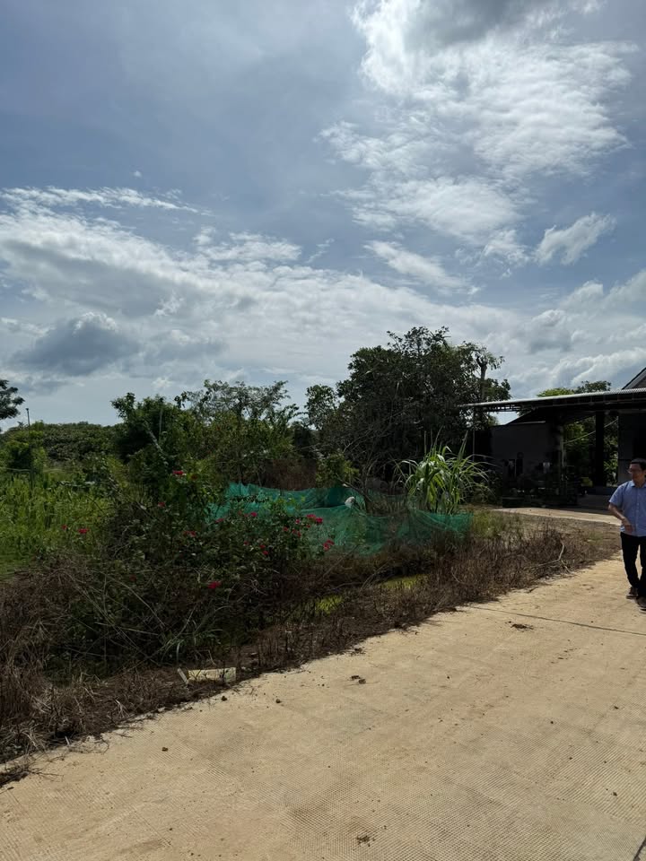 Đất thổ cư Ấp Sông Ray 1000m² giá 800 triệu - Cơ hội đầu tư tốt!