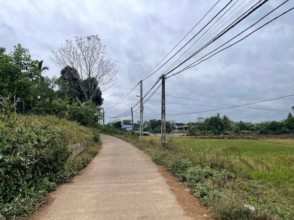 Đất mặt tiền 240m² tại Xã Tức Tranh, Huyện Phú Lương - Giá hấp dẫn chỉ 8xx triệu!