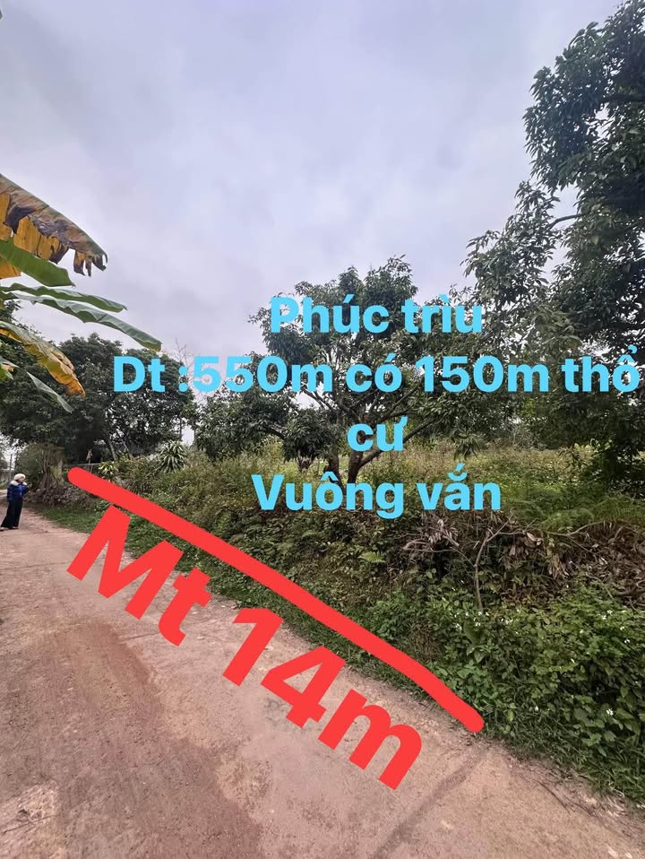 Đất nền Phúc Trìu 550m² giá 1.8 tỷ - Cơ hội đầu tư tuyệt vời!