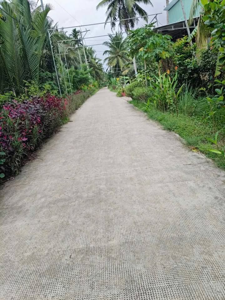 Đất ở Sơn Phú, Giồng Trôm, Bến Tre 1016m² - Giá chỉ 1.1 tỷ chính chủ!