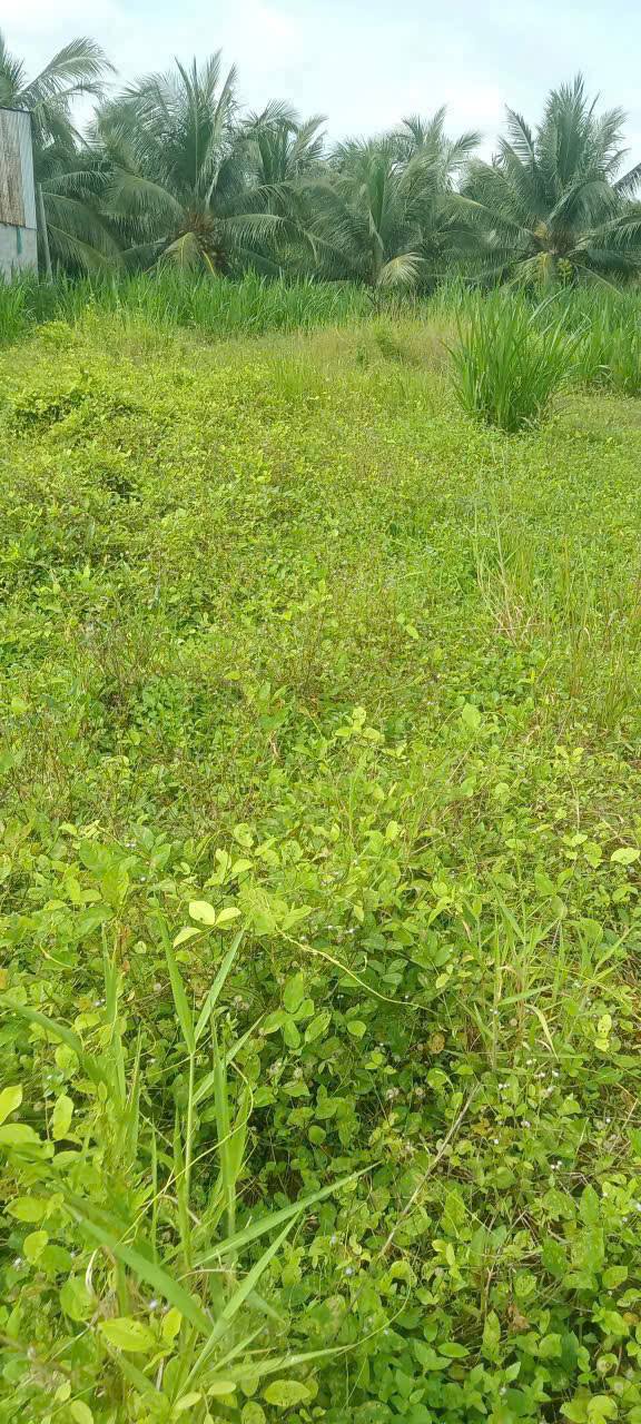 Đất mặt tiền Quốc lộ 57, Xã Quới Điền, 280m² giá 5.6 tỷ - Cơ hội đầu tư tuyệt vời!