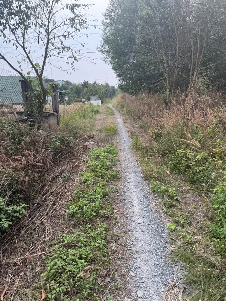 Đất nền ấp Đồng, Xã Phước An, 100m² giá 250 triệu - Sổ hồng chính chủ!