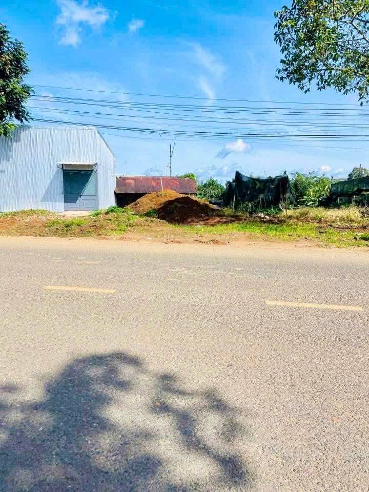 Bán gấp FrontHouse Đào Duy Từ, Bảo Lộc 240m² chỉ 2.2 tỷ - Vị trí đẹp, kinh doanh thuận lợi!