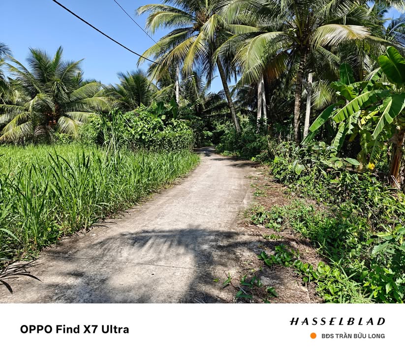 Đất thổ cư Long Hòa B, Đạo Thạnh 263m² giá 2.2 tỷ - Cơ hội đầu tư tuyệt vời!