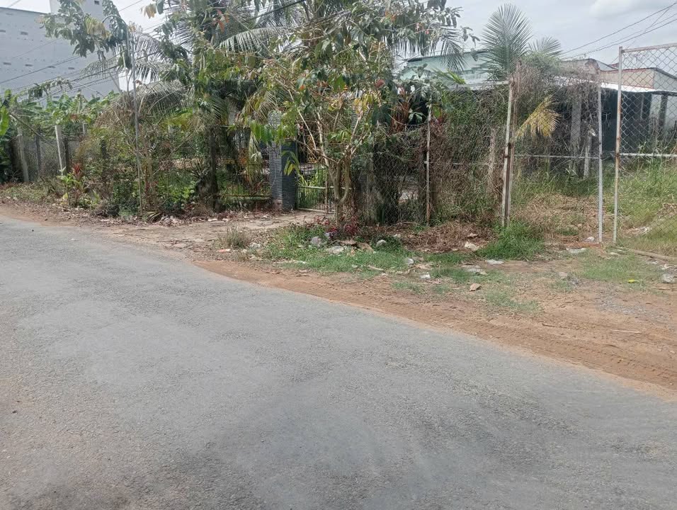 Bán gấp đất vườn 9000m² mặt tiền đường nhựa 8 tấn - Tiềm năng đầu tư lớn!