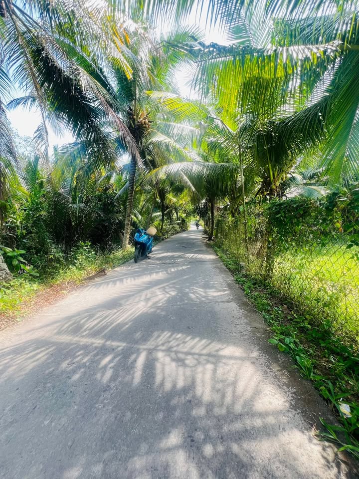 Đất nền ấp Vĩnh Hòa, xã Vĩnh Kim, 144m² giá 345 triệu - Sổ đỏ chính chủ