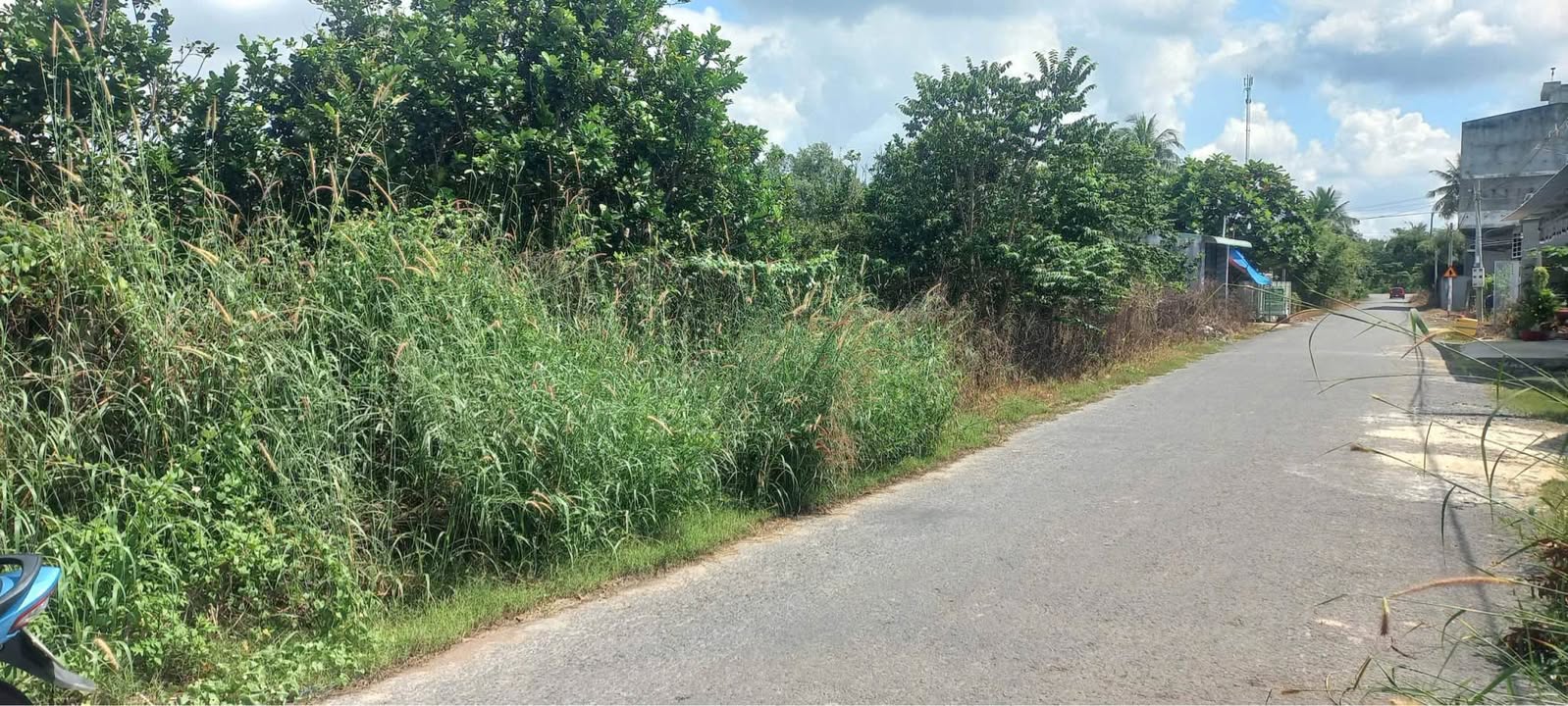 Đất 2 mặt tiền đường nhựa Trường Đông, 3100m² giá 3.15 tỷ - Cơ hội đầu tư tuyệt vời!