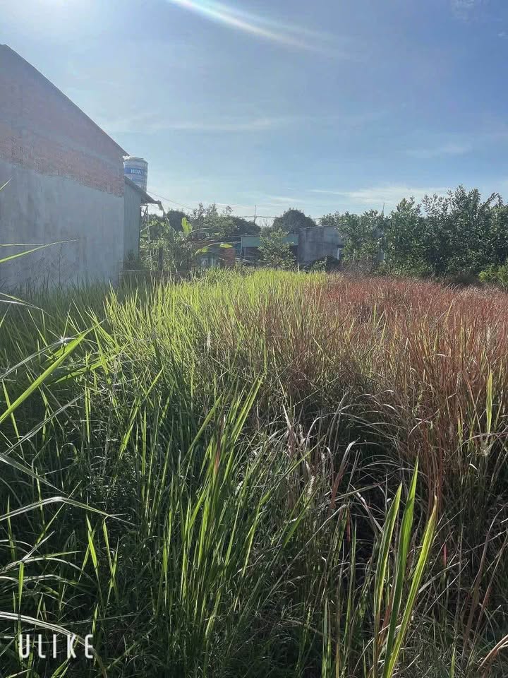 Đất nền chính chủ xã Tân Hòa, huyện Tân Châu, Tây Ninh 150m² - Giá chỉ 250 triệu!