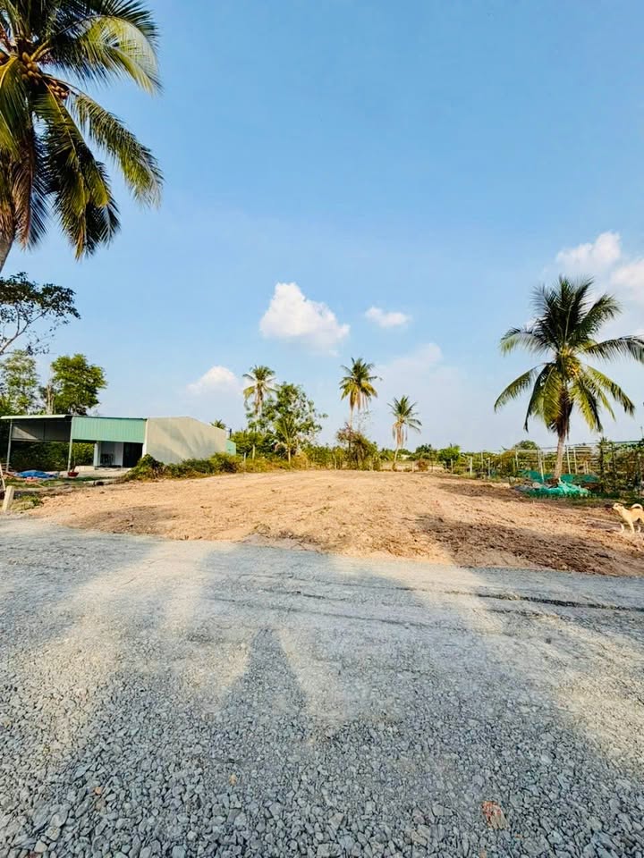 Đất nền giá rẻ Thanh Hòa, Tây Ninh - 80m² chỉ từ 270 triệu