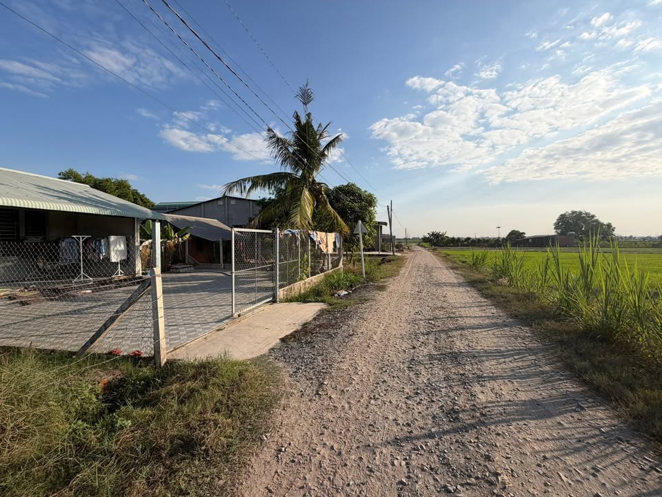 Đất thổ cư Bàu Vừng, Phước Trạch 270m² giá 720 triệu - Cơ hội đầu tư tuyệt vời!