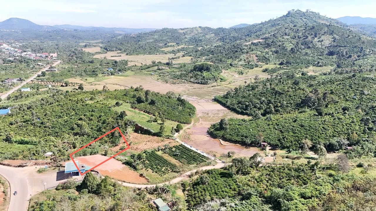 Đất nền Hòa Ninh - Di Linh 217m² giá 450 triệu - Đầu tư sinh lời ngay!