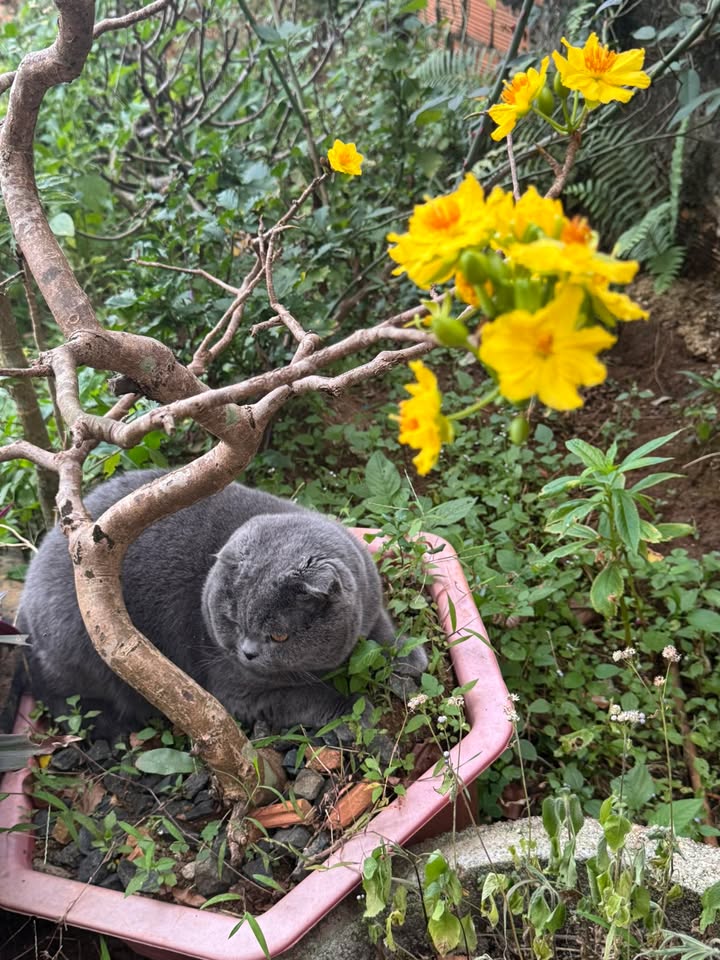 Đất thổ cư thôn 10, xã Tân Thanh, 1980m² giá 1.85 tỷ - Cần tiền bán gấp!