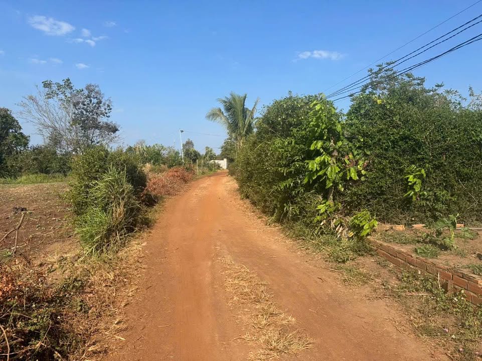 Bán đất thổ cư Hẻm Tỉnh Lộ 1, Xã Ea Nuôl, 1012m² - Đường ô tô vào tận nơi!