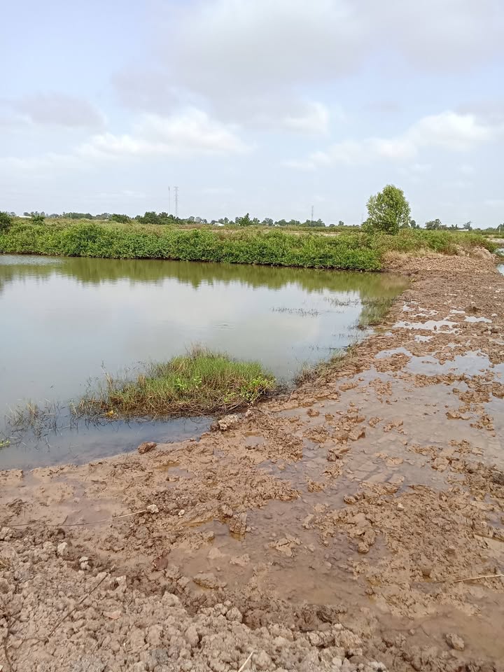 Đất nền 10.014,7m² tại phường 1, Bạc Liêu chỉ 1.501 tỷ - Cơ hội đầu tư hấp dẫn!