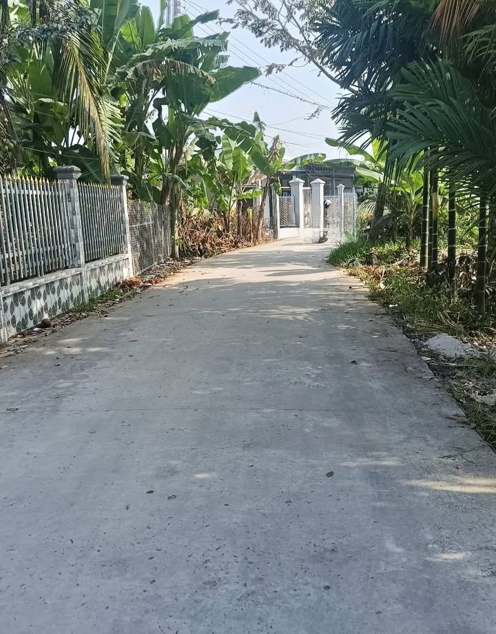 Đất nền thổ cư 250m² tại Ô Môn, Cần Thơ - Giá chỉ 560 triệu!