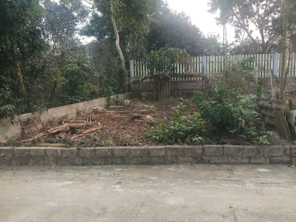 Đất thổ cư thôn Khu Ba, Hạ Bằng 71.5m² giá 2 tỷ - Ô tô vào tận nơi!