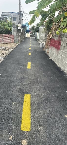 Đất nền Hòa Liễu, Kiến Thuỵ 60-74m² giá rẻ - Đầu tư sinh lời ngay!