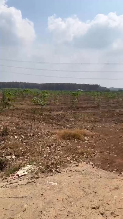 Đất nền 9 hecta tại Minh Lập, Chơn Thành - Giá chỉ 2 tỷ - Tiềm năng đầu tư lớn!