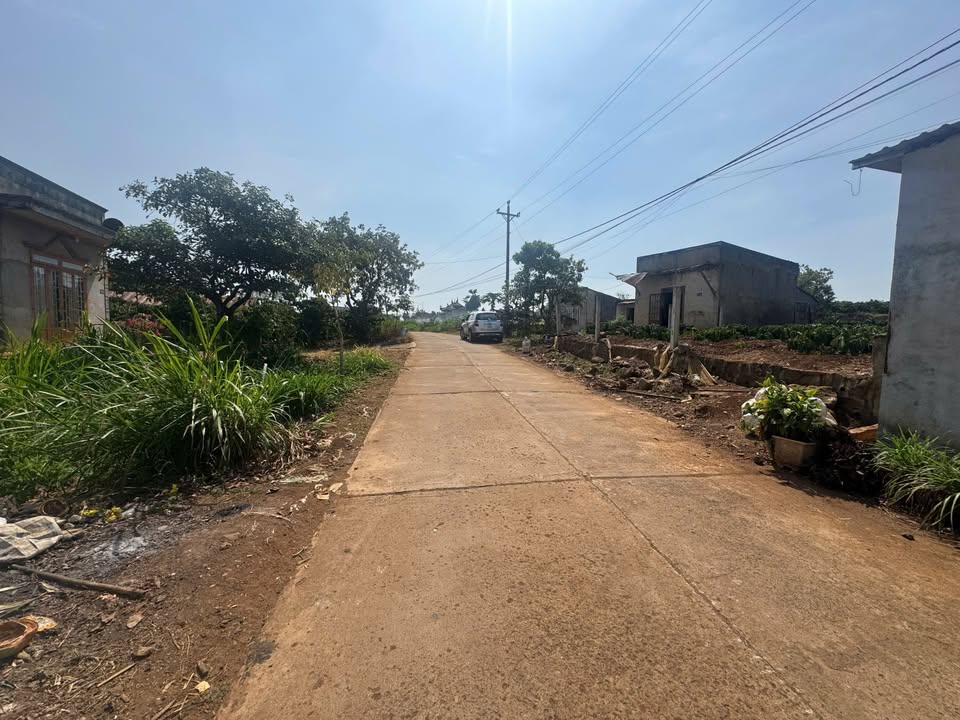 Đất nền khu biệt thự Tân Phú, Tân Hội 500m² giá chỉ 1 tỷ - Đầu tư sinh lời ngay!