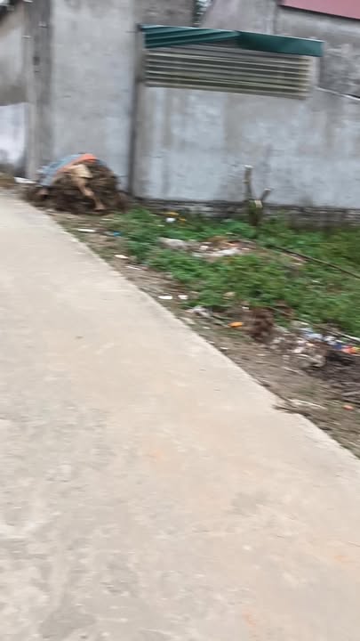 Đất thổ cư thôn Hữu Nghĩa - Xã Hoa Lộc 136m² giá 500 triệu - Sổ đỏ chính chủ!