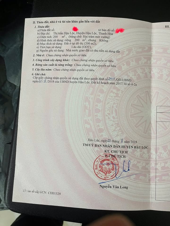 Đất nền thôn Trung Thắng, xã Hậu Lộc 200m² - Cơ hội đầu tư hấp dẫn!