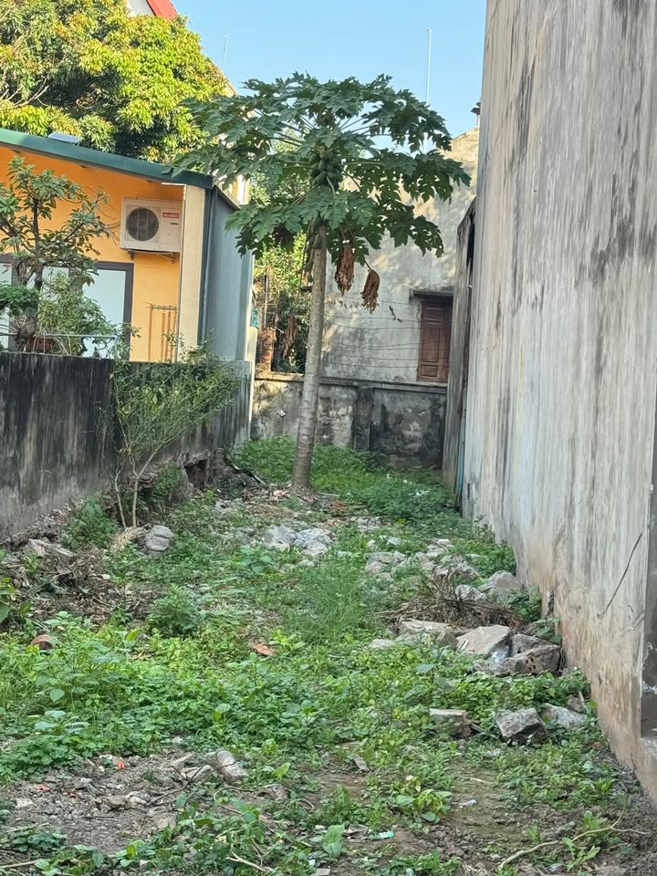 Đất nền Yên Thường, Gia Lâm 72m² chỉ 5.x tỷ - Cơ hội đầu tư hiếm có!