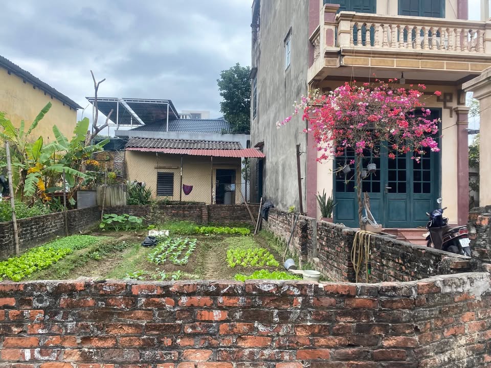 Đất nền Tiền Phong Mê Linh 81m² giá 7 tỷ - Sổ đỏ chính chủ, pháp lý chuẩn!