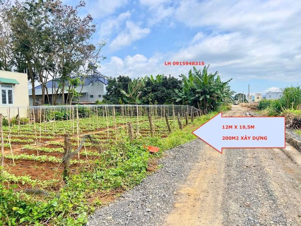 Đất nền Tổ 34, Huyện Đức Trọng 234m² giá 65.52 tỷ - Đường ô tô thuận tiện!