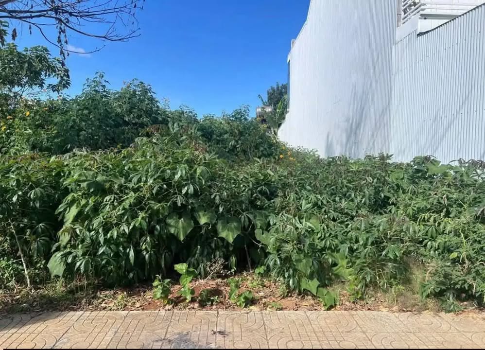 Đất nền 189m² Lô 90 - Đường Lê Đình Chinh, Đức Trọng giá 5.6 tỷ - Cơ hội đầu tư vàng!