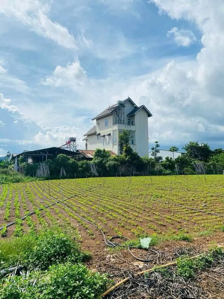 Đất nền Phú Hội, Đức Trọng 145m² giá 900 triệu - Cơ hội đầu tư sinh lời!